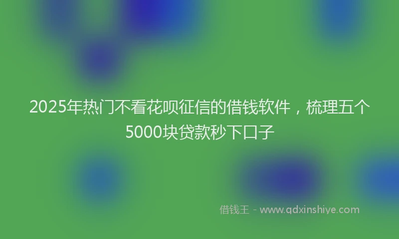 2025年热门不看花呗征信的借钱软件，梳理五个5000块贷款秒下口子