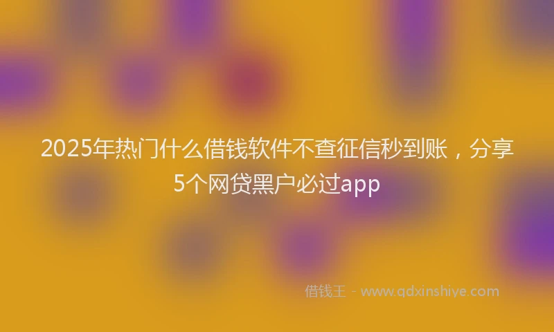 2025年热门什么借钱软件不查征信秒到账，分享5个网贷黑户必过app