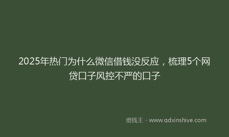2025年热门为什么微信借钱没反应，梳理5个网贷口子风控不严的口子