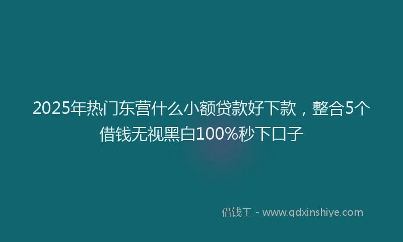 2025年热门东营什么小额贷款好下款，整合5个借钱无视黑白100%秒下口子