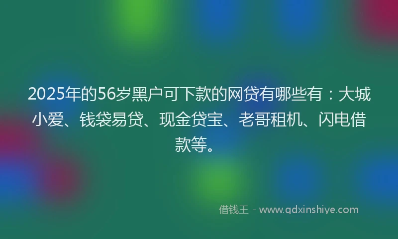 2025年的56岁黑户可下款的网贷有哪些有：大城小爱、钱袋易贷、现金贷宝、老哥租机、闪电借款等。