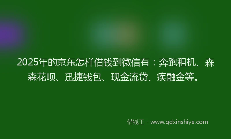 2025年的京东怎样借钱到微信有：奔跑租机、森森花呗、迅捷钱包、现金流贷、疾融金等。