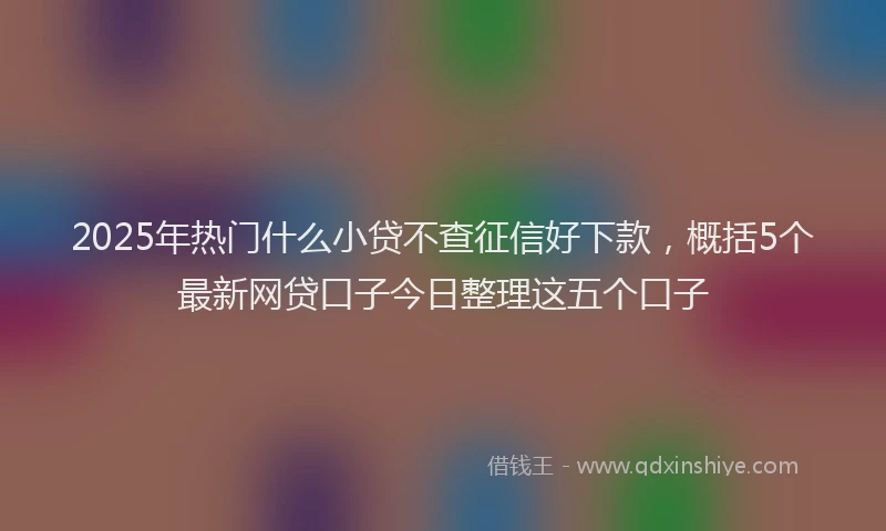 2025年热门什么小贷不查征信好下款，概括5个最新网贷口子今日整理这五个口子