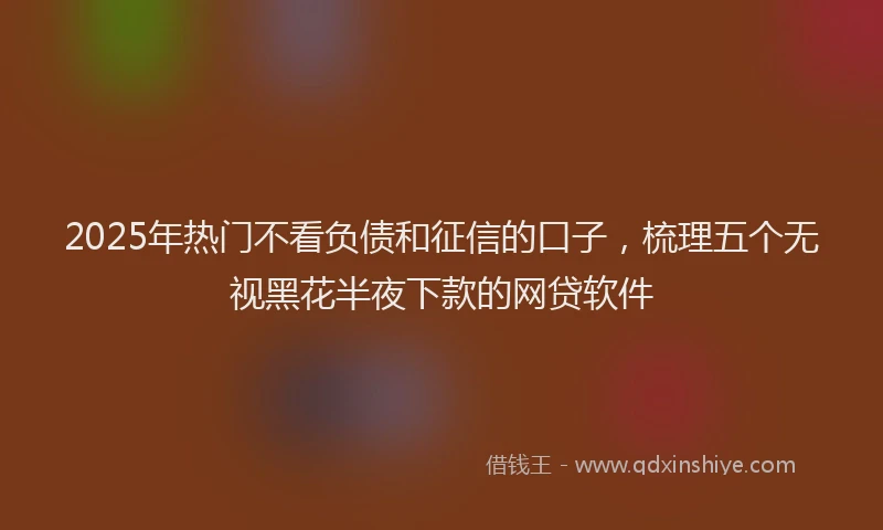 2025年热门不看负债和征信的口子，梳理五个无视黑花半夜下款的网贷软件