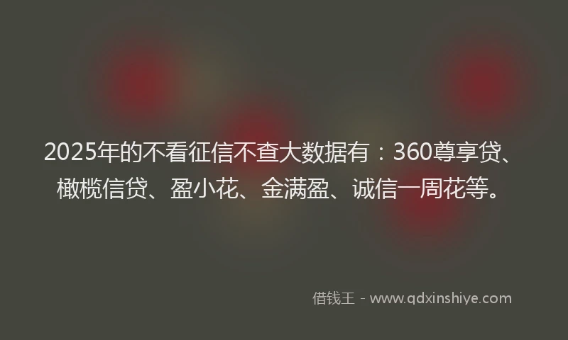 2025年的不看征信不查大数据有：360尊享贷、橄榄信贷、盈小花、金满盈、诚信一周花等。