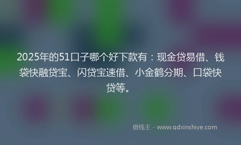 2025年的51口子哪个好下款有：现金贷易借、钱袋快融贷宝、闪贷宝速借、小金鹤分期、口袋快贷等。