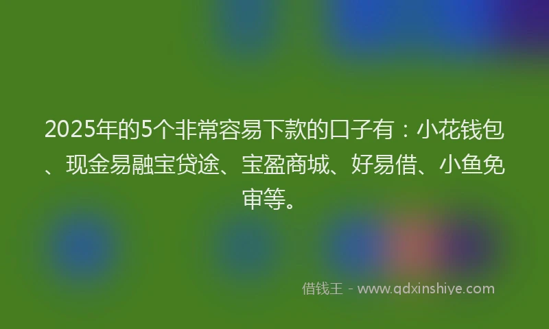 2025年的5个非常容易下款的口子有：小花钱包、现金易融宝贷途、宝盈商城、好易借、小鱼免审等。
