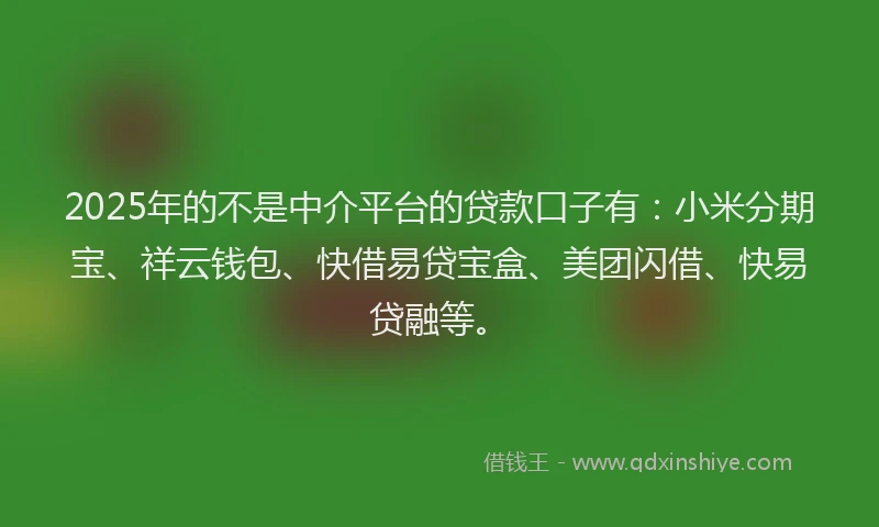 2025年的不是中介平台的贷款口子有：小米分期宝、祥云钱包、快借易贷宝盒、美团闪借、快易贷融等。