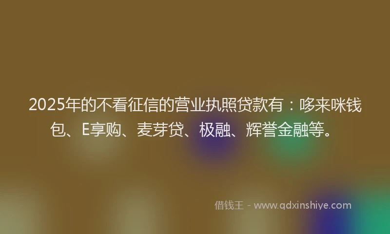 2025年的不看征信的营业执照贷款有：哆来咪钱包、E享购、麦芽贷、极融、辉誉金融等。