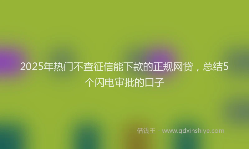 2025年热门不查征信能下款的正规网贷，总结5个闪电审批的口子