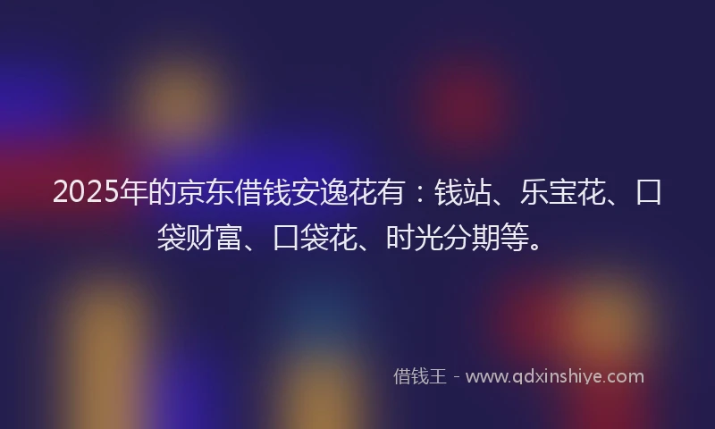 2025年的京东借钱安逸花有：钱站、乐宝花、口袋财富、口袋花、时光分期等。