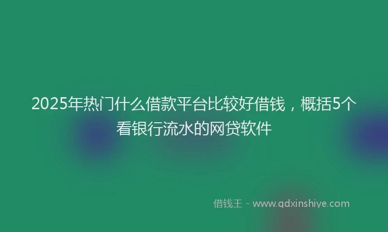 2025年热门什么借款平台比较好借钱，概括5个看银行流水的网贷软件