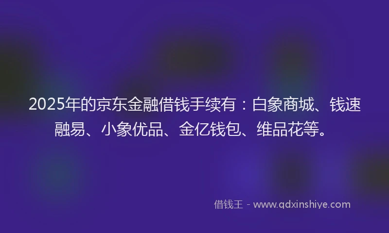 2025年的京东金融借钱手续有：白象商城、钱速融易、小象优品、金亿钱包、维品花等。