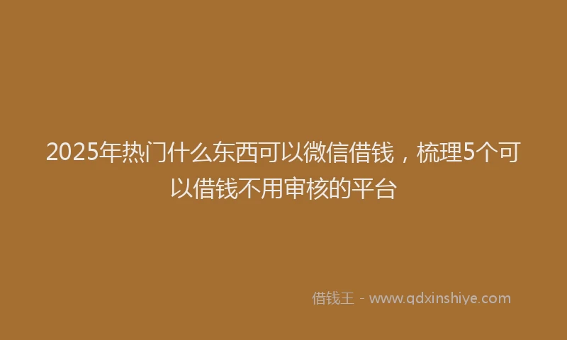 2025年热门什么东西可以微信借钱，梳理5个可以借钱不用审核的平台