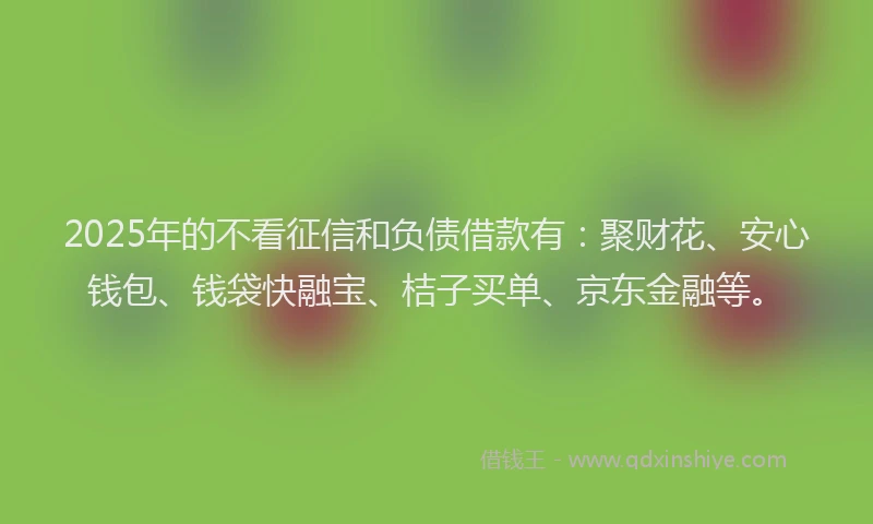 2025年的不看征信和负债借款有：聚财花、安心钱包、钱袋快融宝、桔子买单、京东金融等。