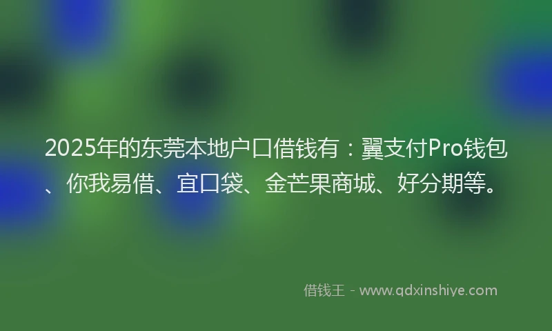 2025年的东莞本地户口借钱有：翼支付Pro钱包、你我易借、宜口袋、金芒果商城、好分期等。