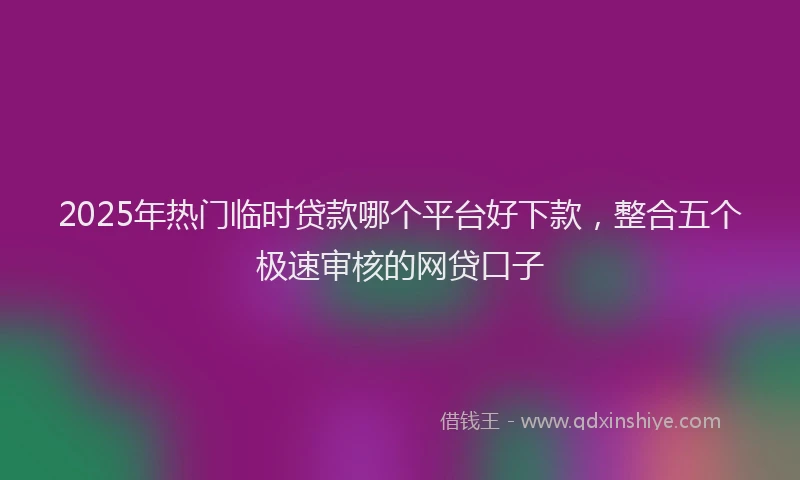 2025年热门临时贷款哪个平台好下款，整合五个极速审核的网贷口子