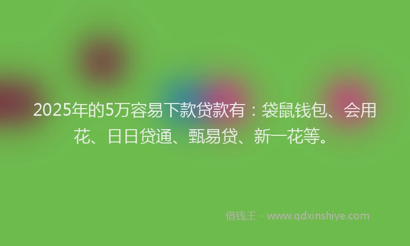 2025年的5万容易下款贷款有：袋鼠钱包、会用花、日日贷通、甄易贷、新一花等。