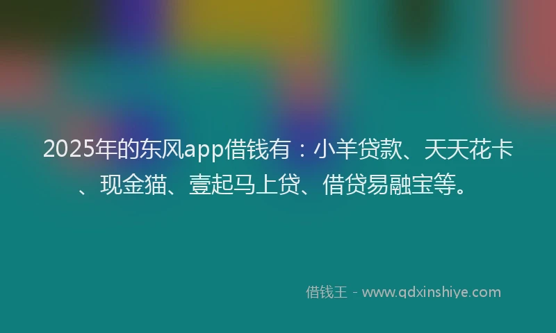 2025年的东风app借钱有：小羊贷款、天天花卡、现金猫、壹起马上贷、借贷易融宝等。