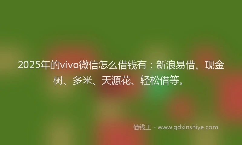 2025年的vivo微信怎么借钱有：新浪易借、现金树、多米、天源花、轻松借等。