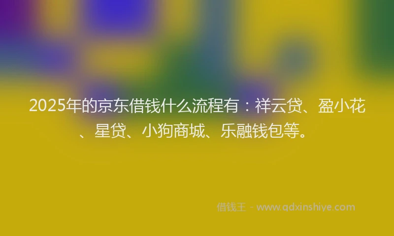 2025年的京东借钱什么流程有：祥云贷、盈小花、星贷、小狗商城、乐融钱包等。