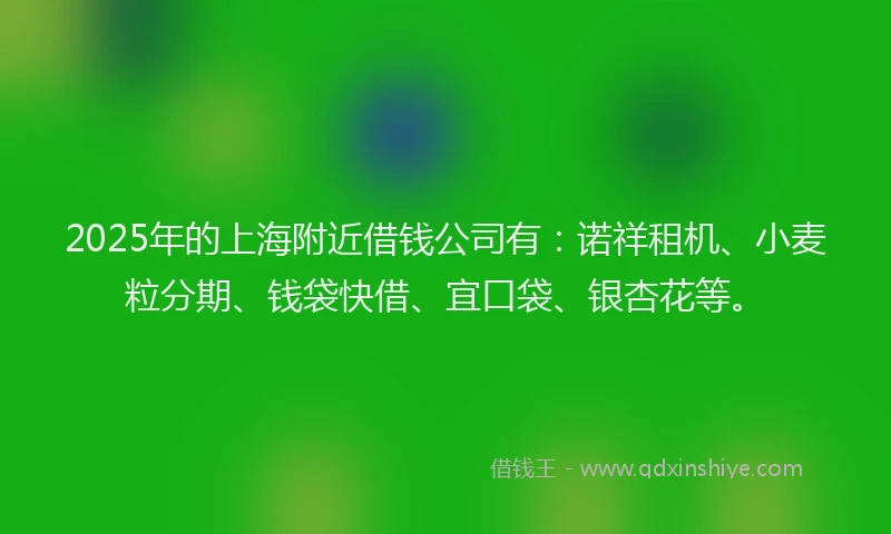 2025年的上海附近借钱公司有：诺祥租机、小麦粒分期、钱袋快借、宜口袋、银杏花等。