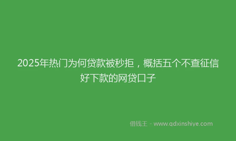 2025年热门为何贷款被秒拒，概括五个不查征信好下款的网贷口子
