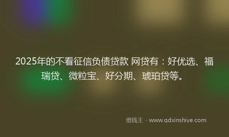 2025年的不看征信负债贷款 网贷有：好优选、福瑞贷、微粒宝、好分期、琥珀贷等。