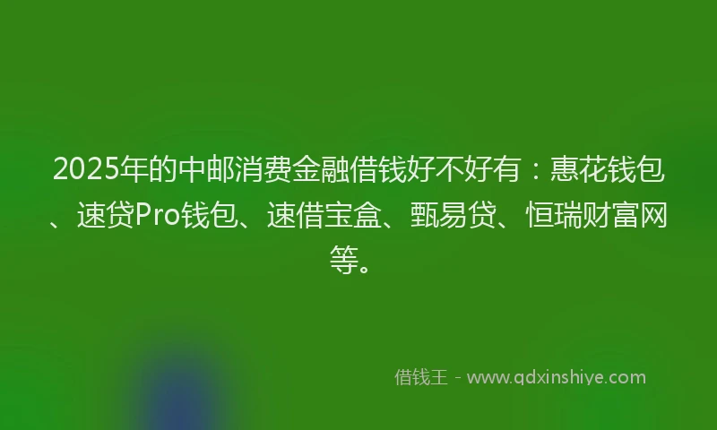 2025年的中邮消费金融借钱好不好有：惠花钱包、速贷Pro钱包、速借宝盒、甄易贷、恒瑞财富网等。