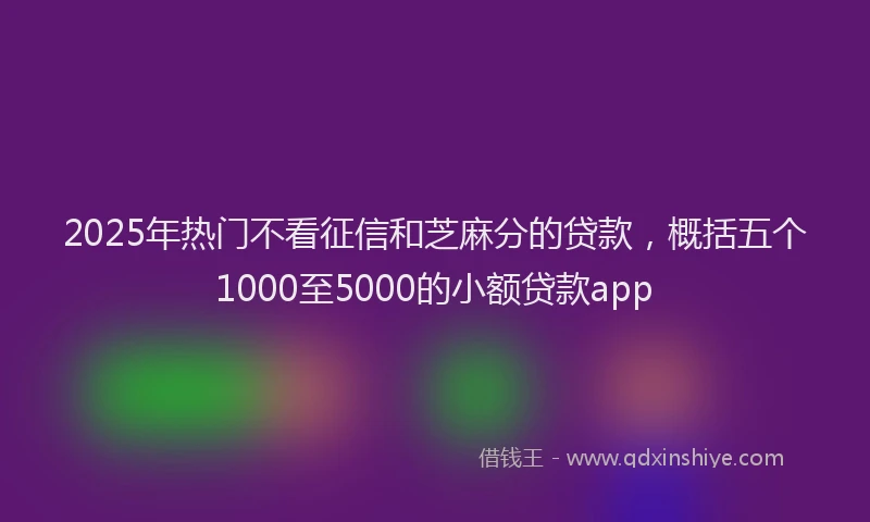 2025年热门不看征信和芝麻分的贷款，概括五个1000至5000的小额贷款app