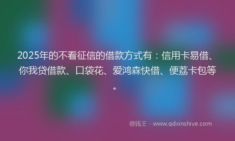 2025年的不看征信的借款方式有：信用卡易借、你我贷借款、口袋花、爱鸿森快借、便荔卡包等。