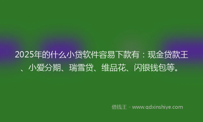 2025年的什么小贷软件容易下款有：现金贷款王、小爱分期、瑞雪贷、维品花、闪银钱包等。