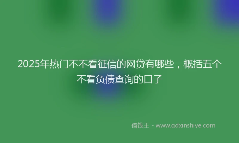 2025年热门不不看征信的网贷有哪些，概括五个不看负债查询的口子