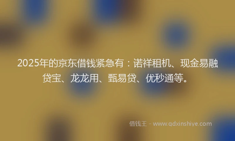 2025年的京东借钱紧急有：诺祥租机、现金易融贷宝、龙龙用、甄易贷、优秒通等。