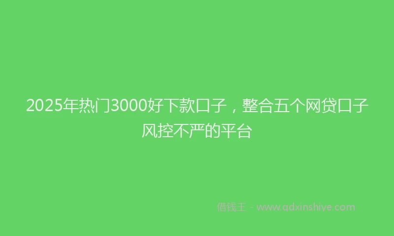 2025年热门3000好下款口子，整合五个网贷口子风控不严的平台