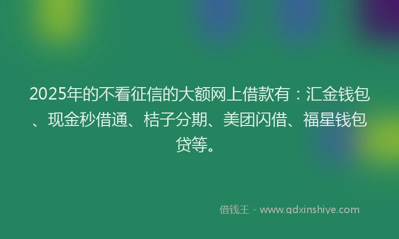 2025年的不看征信的大额网上借款有：汇金钱包、现金秒借通、桔子分期、美团闪借、福星钱包贷等。