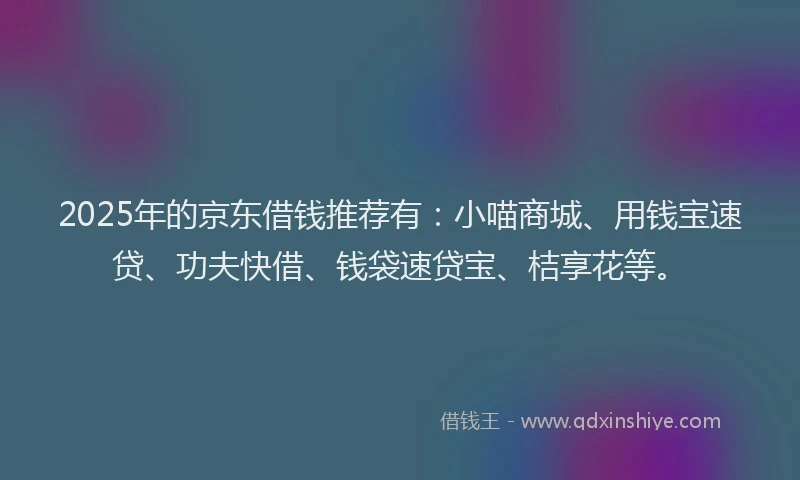 2025年的京东借钱推荐有：小喵商城、用钱宝速贷、功夫快借、钱袋速贷宝、桔享花等。