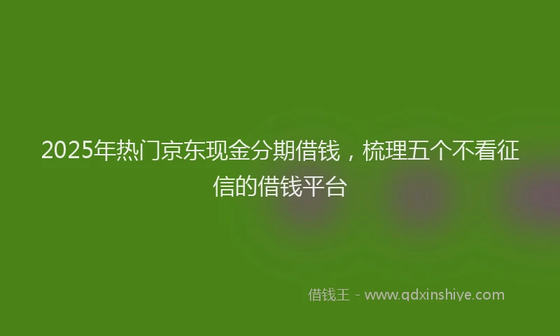 2025年热门京东现金分期借钱，梳理五个不看征信的借钱平台