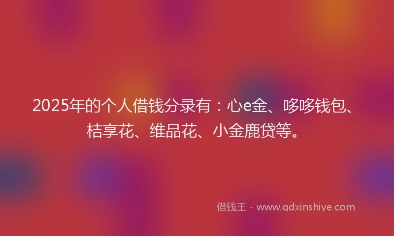 2025年的个人借钱分录有：心e金、哆哆钱包、桔享花、维品花、小金鹿贷等。