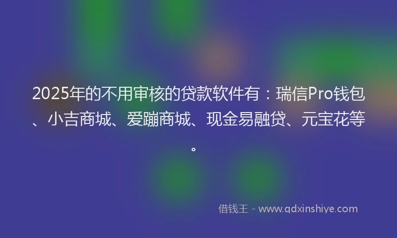 2025年的不用审核的贷款软件有：瑞信Pro钱包、小吉商城、爱蹦商城、现金易融贷、元宝花等。