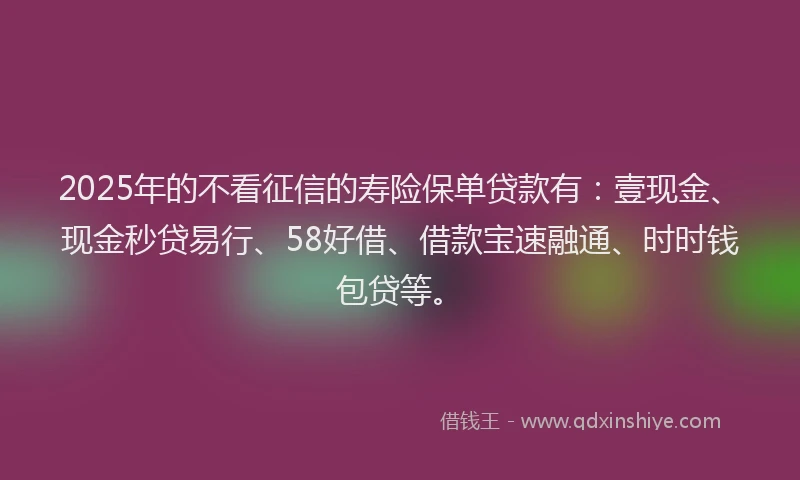 2025年的不看征信的寿险保单贷款有：壹现金、现金秒贷易行、58好借、借款宝速融通、时时钱包贷等。