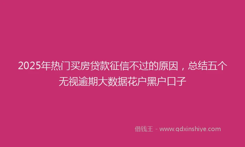 2025年热门买房贷款征信不过的原因，总结五个无视逾期大数据花户黑户口子