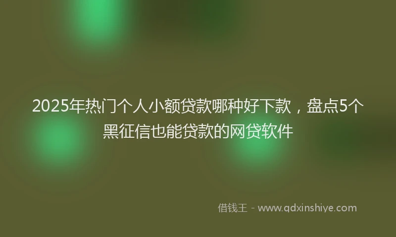 2025年热门个人小额贷款哪种好下款，盘点5个黑征信也能贷款的网贷软件