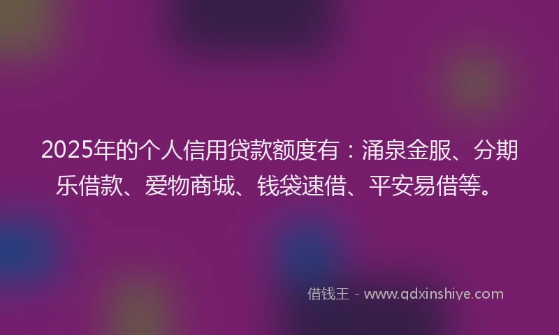 2025年的个人信用贷款额度有：涌泉金服、分期乐借款、爱物商城、钱袋速借、平安易借等。