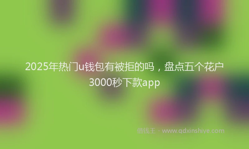 2025年热门u钱包有被拒的吗，盘点五个花户3000秒下款app