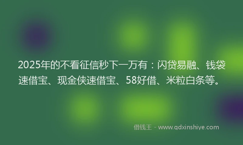 2025年的不看征信秒下一万有：闪贷易融、钱袋速借宝、现金侠速借宝、58好借、米粒白条等。
