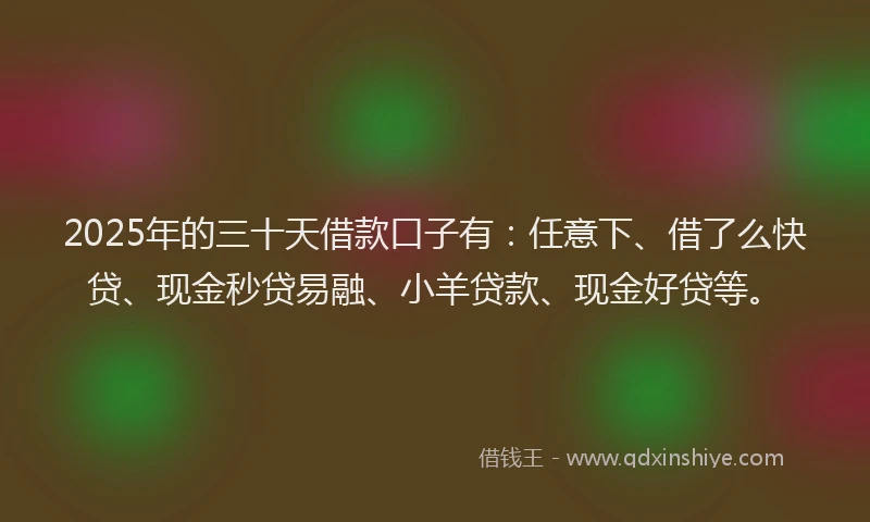 2025年的三十天借款口子有：任意下、借了么快贷、现金秒贷易融、小羊贷款、现金好贷等。