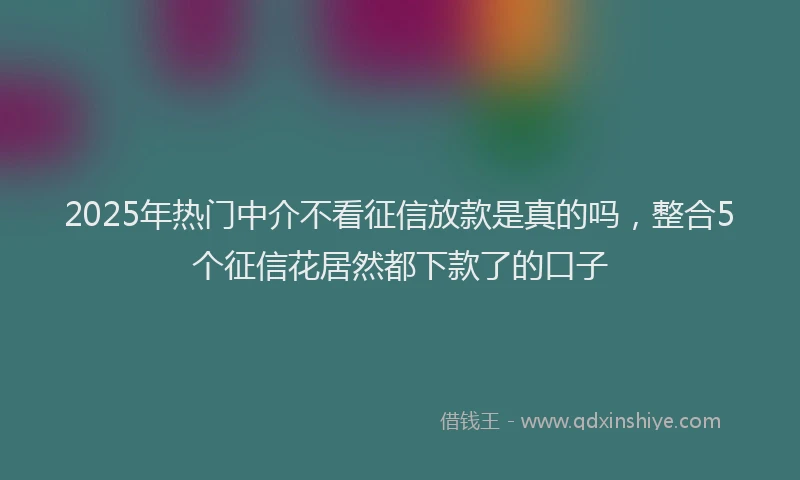 2025年热门中介不看征信放款是真的吗，整合5个征信花居然都下款了的口子