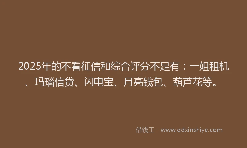 2025年的不看征信和综合评分不足有：一姐租机、玛瑙信贷、闪电宝、月亮钱包、葫芦花等。