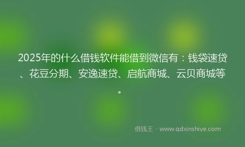 2025年的什么借钱软件能借到微信有：钱袋速贷、花豆分期、安逸速贷、启航商城、云贝商城等。